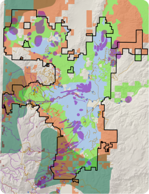 Small screenshot of map showing the Truckee Meadows Services Area boudary, depicting Natural Resource Consideration Areas in Washoe County, NV.
